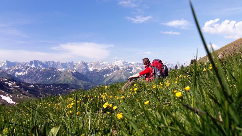 Alpen-Chalets Achensee マウラッハ エクステリア 写真